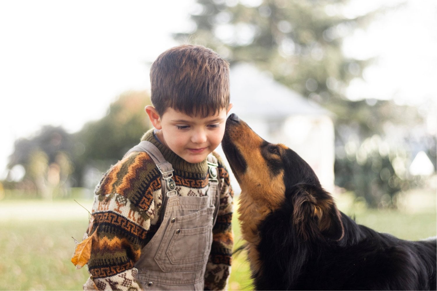 Los veterinarios advierten sobre un gesto común con los perros que podría transmitir bacterias peligrosas a sus dueños