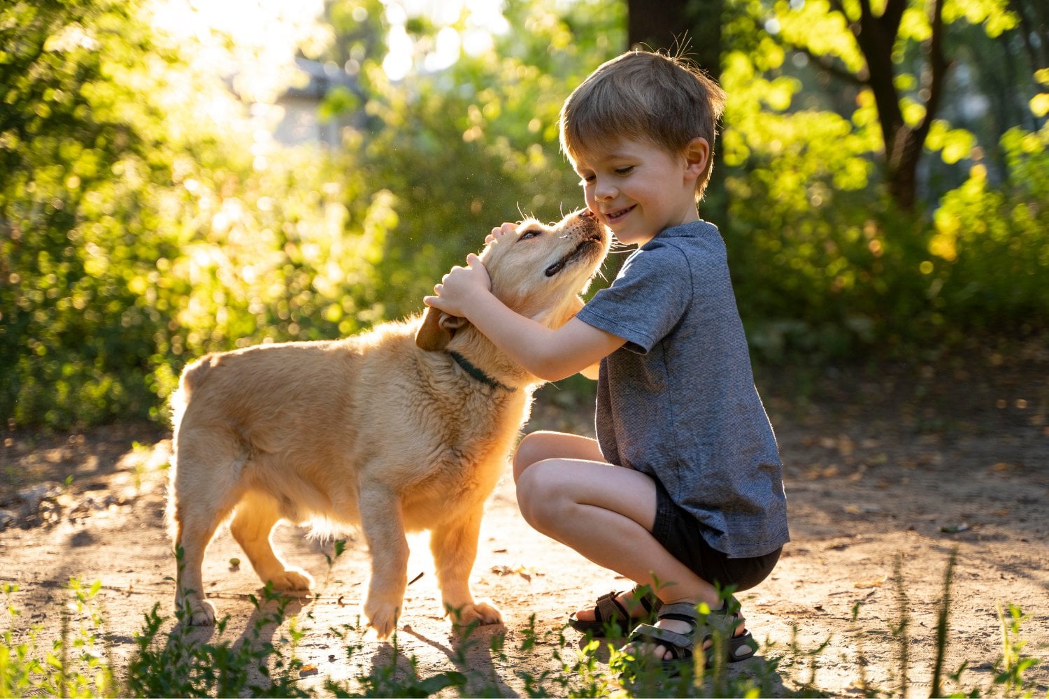 Los veterinarios advierten sobre un gesto común con los perros que podría transmitir bacterias peligrosas a sus dueños