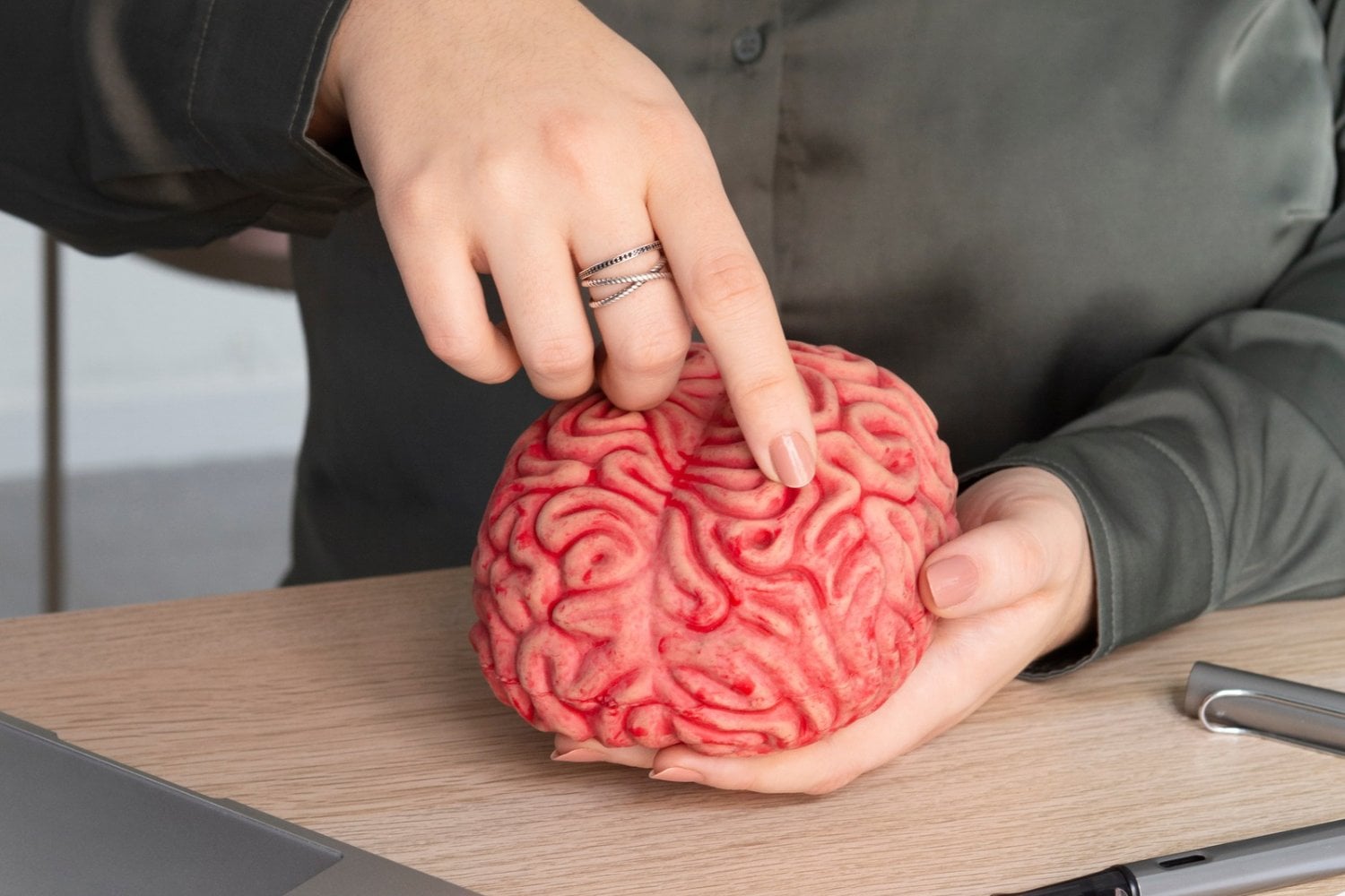 ¿Por qué el lado derecho del cerebro controla la mitad izquierda del cuerpo? La ciencia propone una explicación