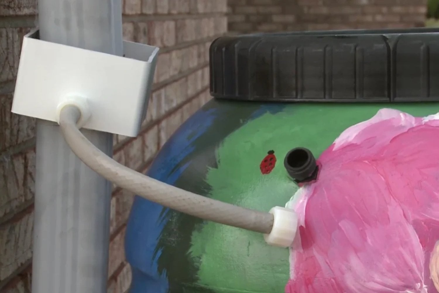 Una adolescente de Texas convierte basura industrial en una solución ambiental que está sorprendiendo a su comunidad8)