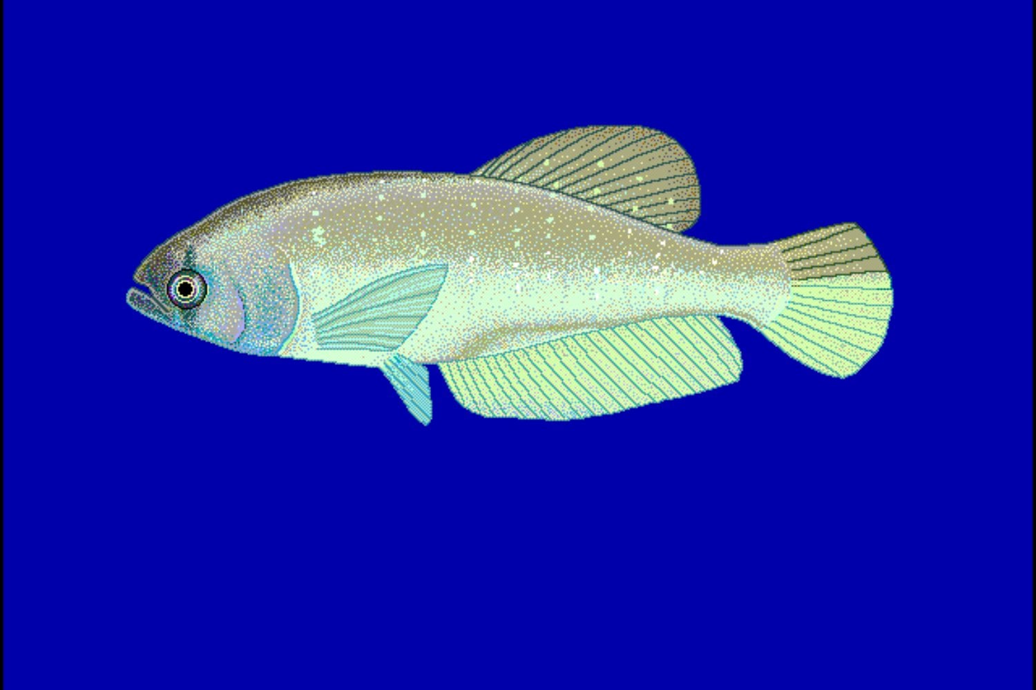 Aubel