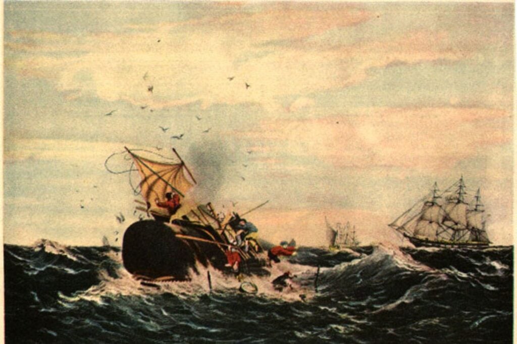 Cachalote Atacando Barco