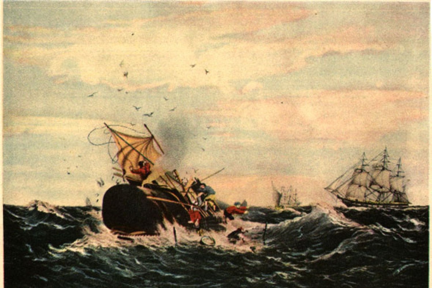 Cachalote Atacando Barco