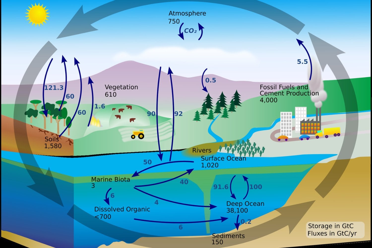 Ciclo Del Carbono Azul