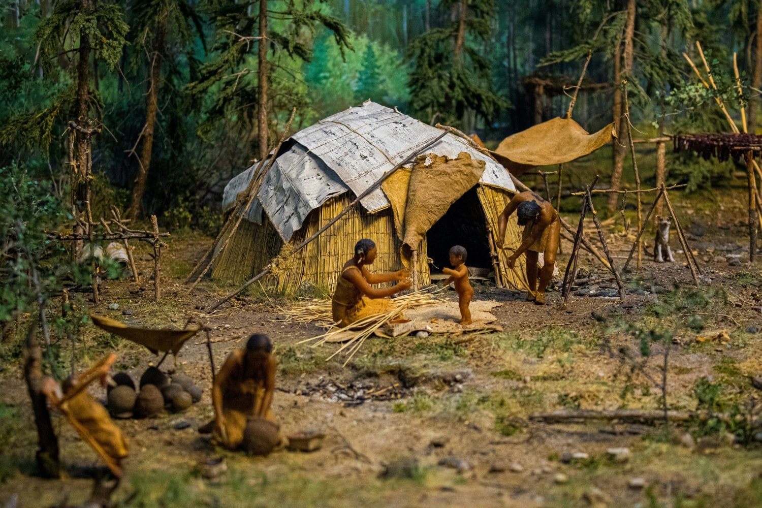 Familia Neandertal