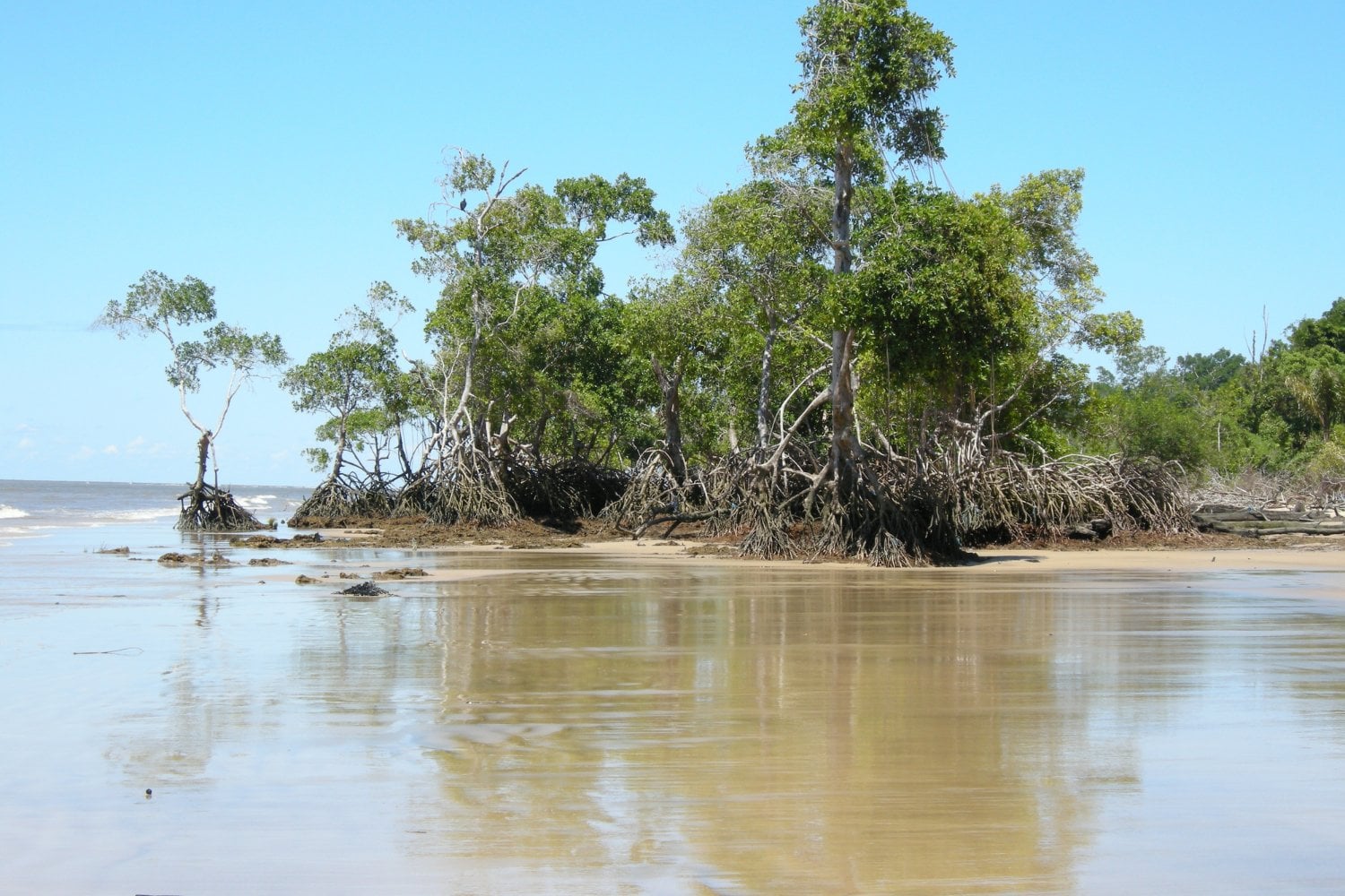 Marajo Brasil