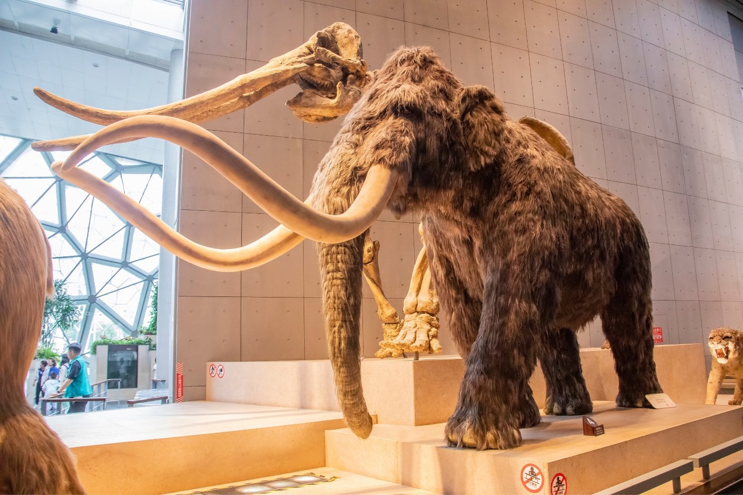 Mastodonte