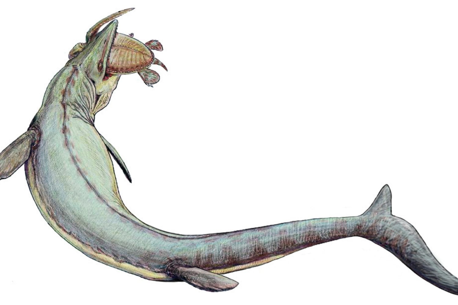 Mosasaurio