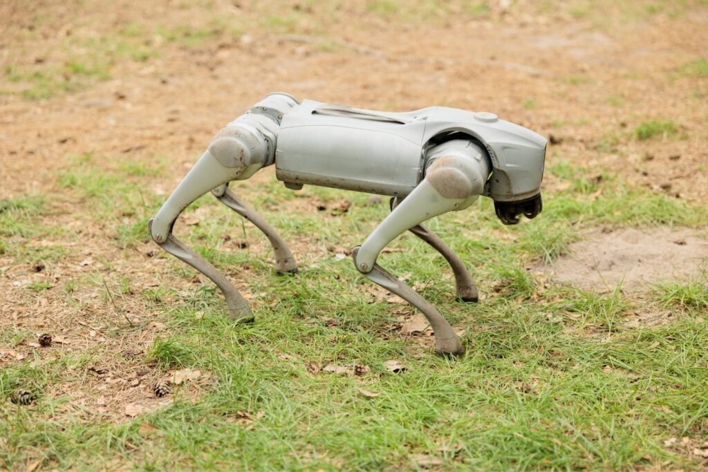 Perro Robot En El Campo