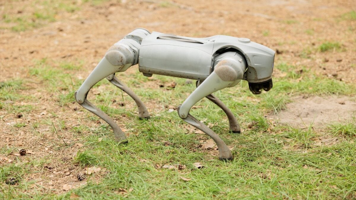 Un perro robot con IA patrulla viñedos y cultivos de moras en España. Su trabajo: saber antes que nadie cuándo está madura la fruta