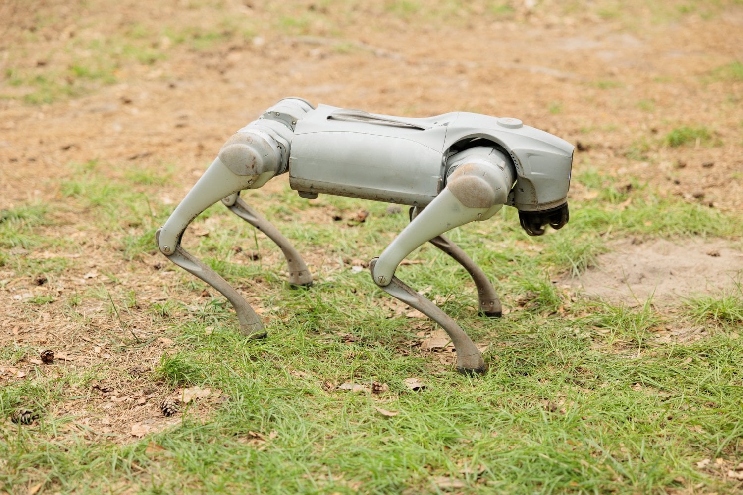 Perro Robot En El Campo