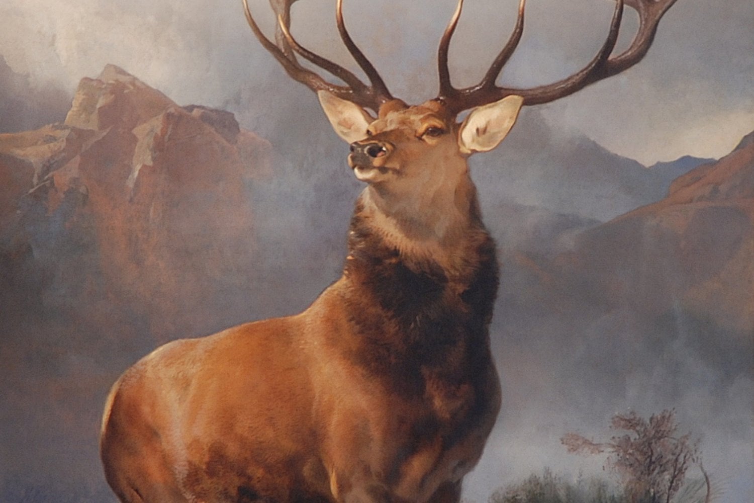 Pintura Ciervo Colorado