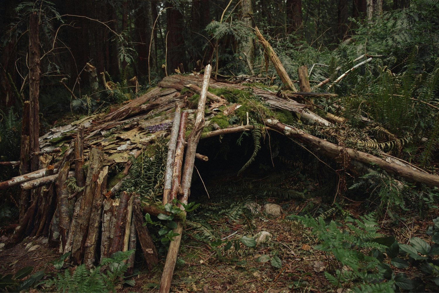 Refugio