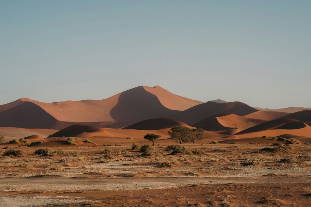 Sahara