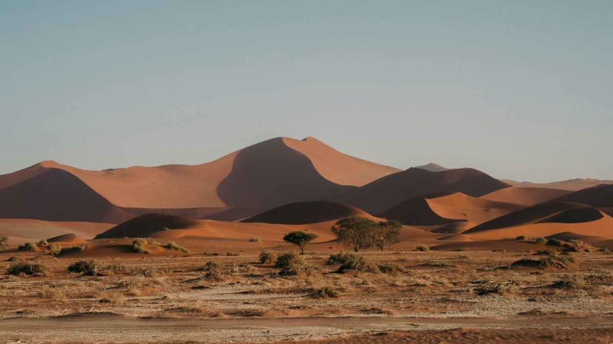 Marruecos quiere convertir 5.200 hectáreas de desierto en huertas con agua del Atlántico, y la energía para lograrlo sale del viento
