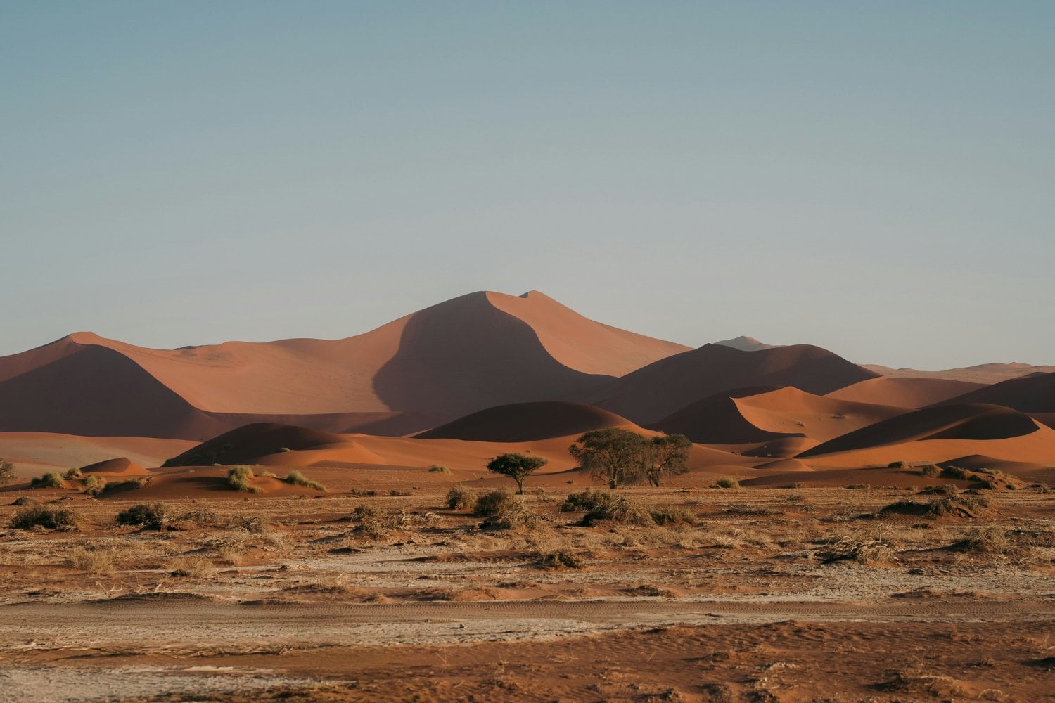 Sahara