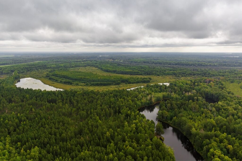Taiga Siberiana