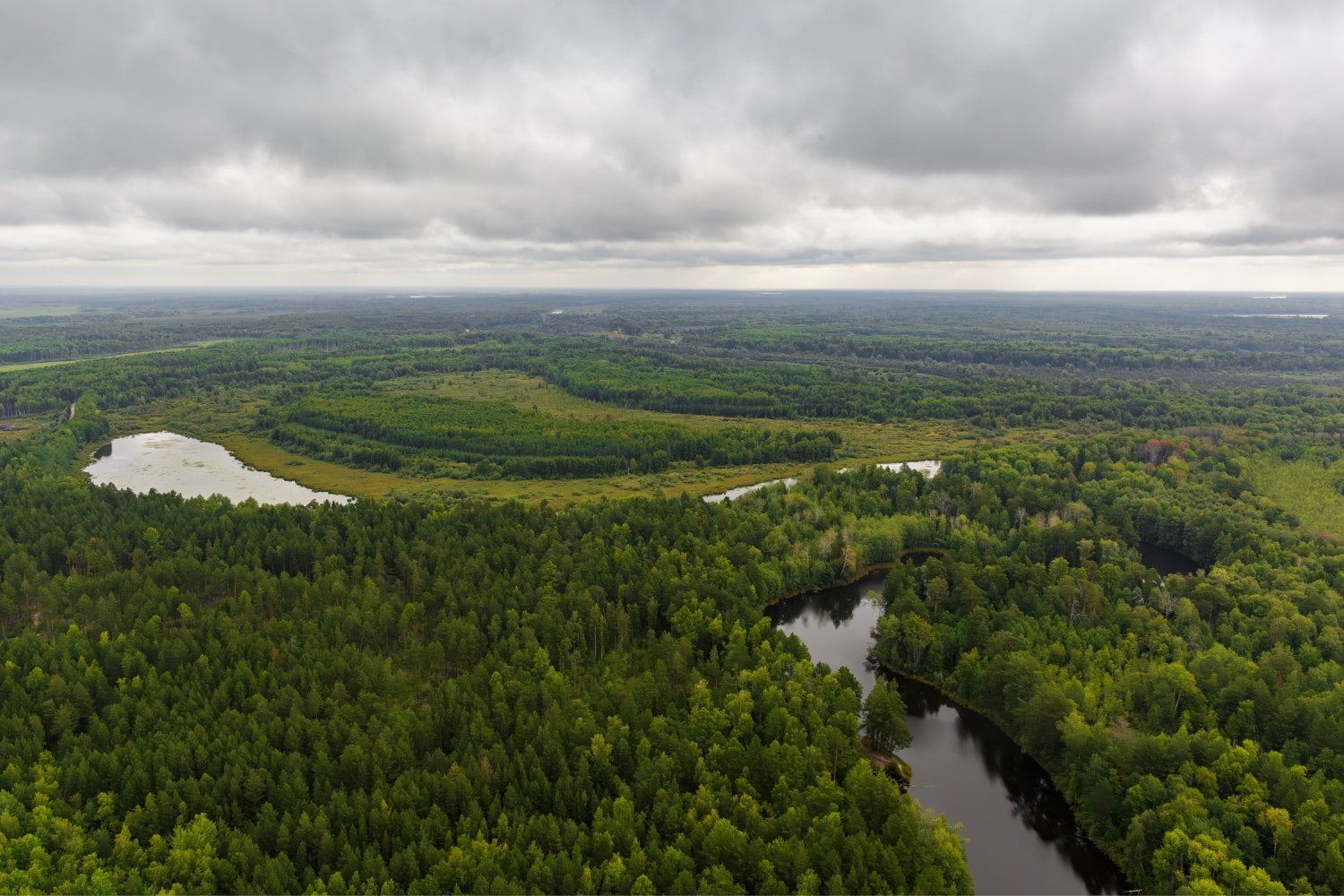 Taiga Siberiana