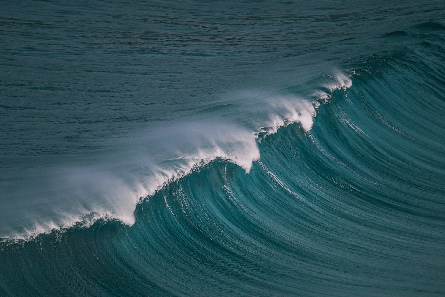 Tsunami Cota 30