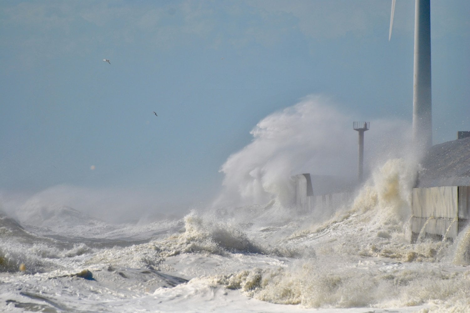 Tsunami Golpeando Costa